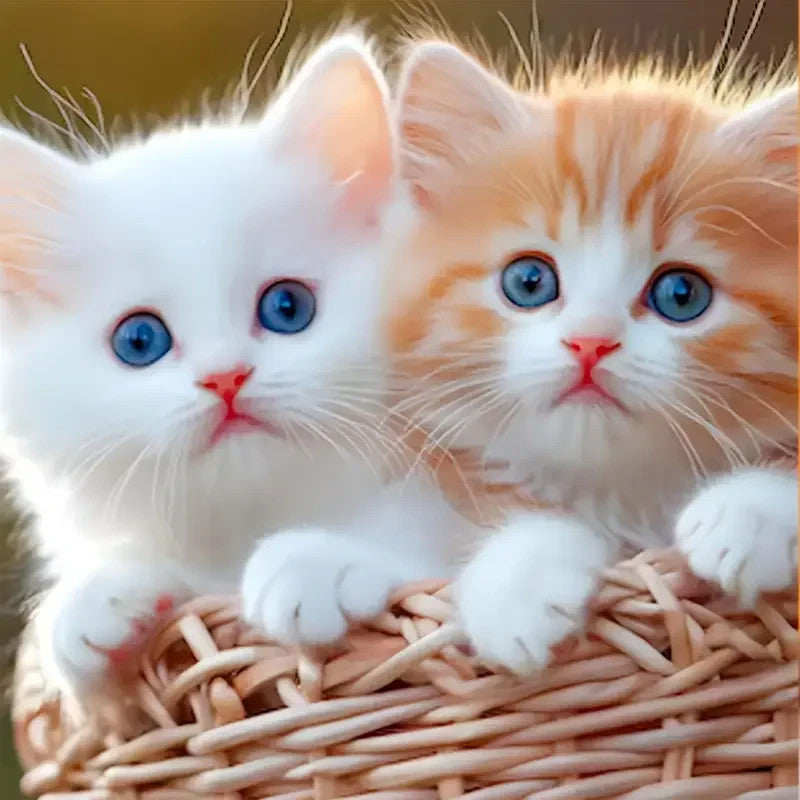 2025 Robot Dog Cat Puppy - Walks, Barks, Wags Tail - Acts like Real Pet Toy