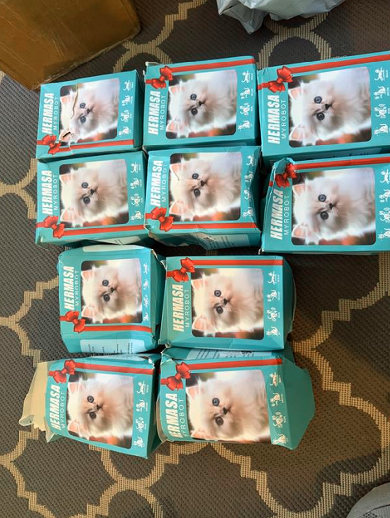 2025 Robot Dog Cat Puppy - Walks, Barks, Wags Tail - Acts like Real Pet Toy